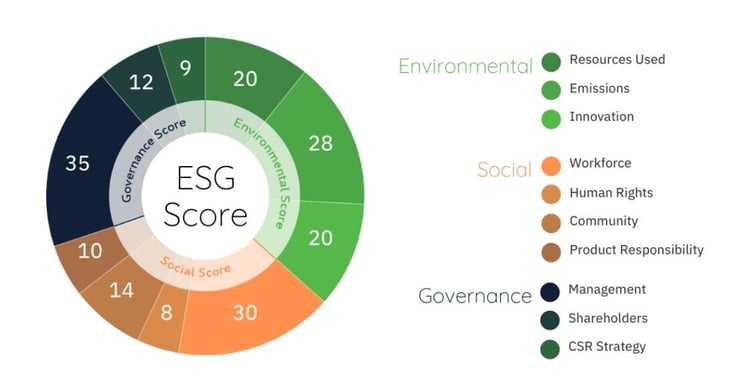 ESG Risk Score and the Benefits of ESG Reporting