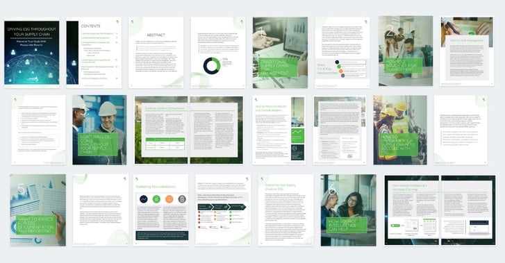 Supply Chain ESG White Paper Spread