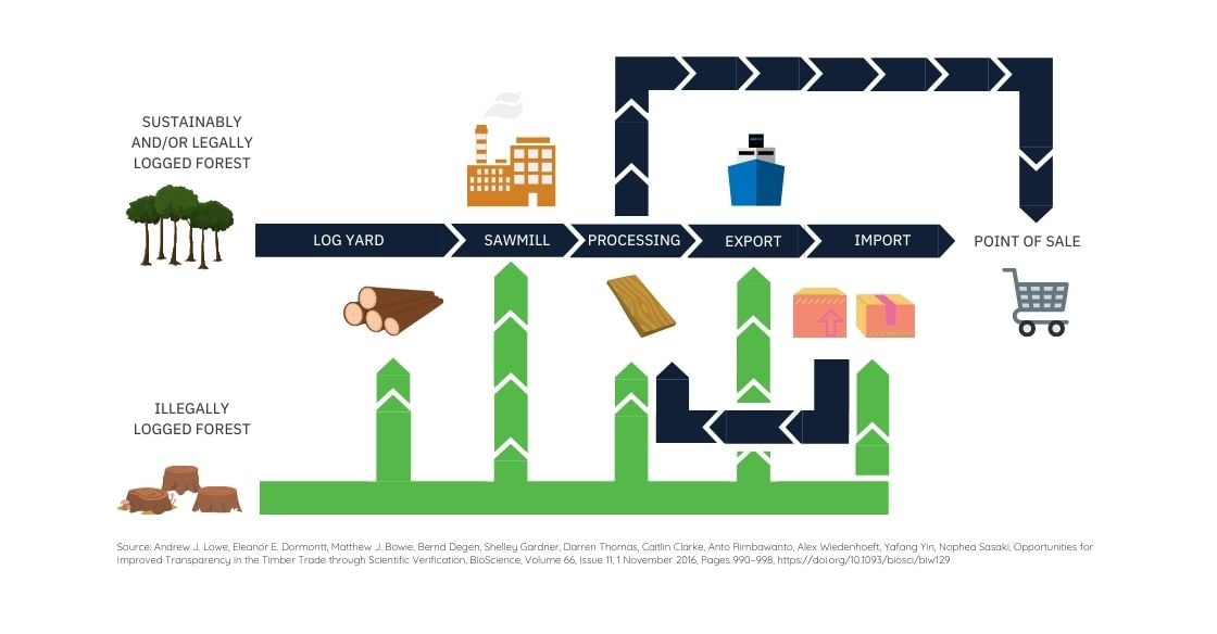 Timber Supply Chain